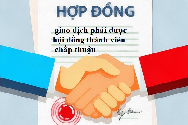 Hợp đồng, giao dịch phải được hội đồng thành viên chấp thuận