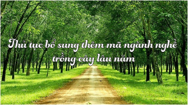 Thủ tục bổ sung thêm mã ngành nghề trồng cây lâu năm